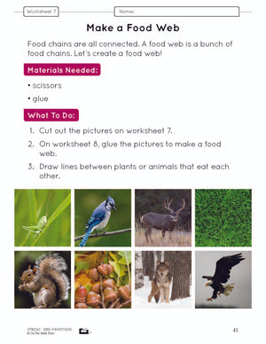 Food Chains & Webs e-Lesson Plan Grade 4