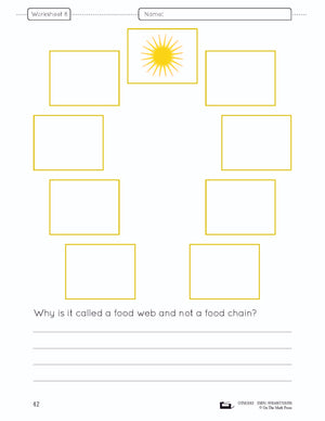 Food Chains & Webs e-Lesson Plan Grade 4