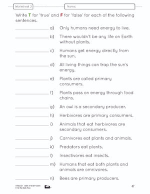 Food Chains & Webs e-Lesson Plan Grade 4