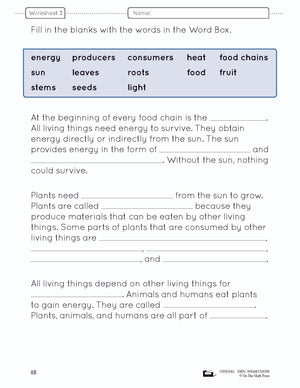 Food Chains & Webs e-Lesson Plan Grade 4