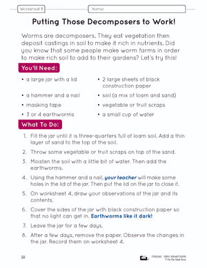 Food Chains & Webs e-Lesson Plan Grade 4