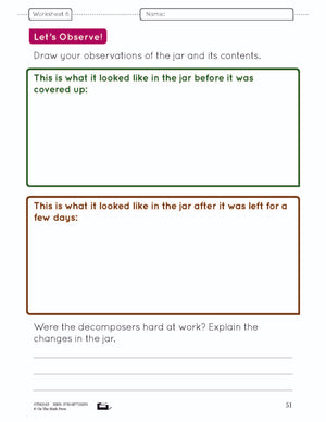 Food Chains & Webs e-Lesson Plan Grade 4