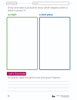 What do Plants Need? Grade 4 (eLesson Plan)