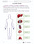 Organs in the Body e-Lesson Plan Grade 5