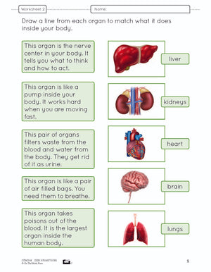 Organs in the Body e-Lesson Plan Grade 5