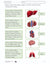 Organs in the Body e-Lesson Plan Grade 5