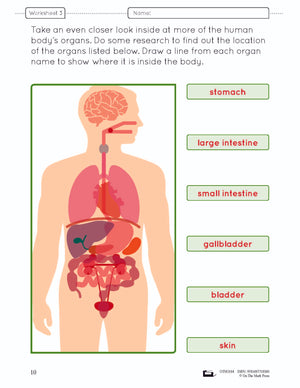 Organs in the Body e-Lesson Plan Grade 5