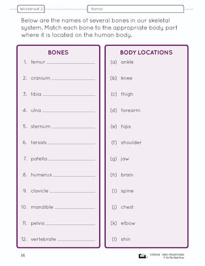 Systems in the Body e-Lesson Plan Grade 5