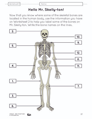 Systems in the Body e-Lesson Plan Grade 5