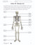 Systems in the Body e-Lesson Plan Grade 5