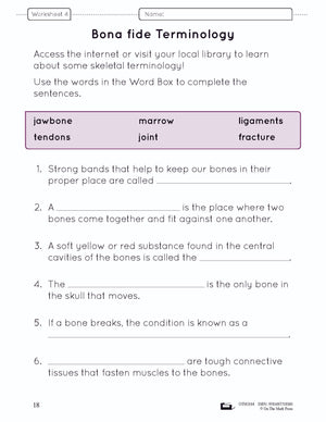 Systems in the Body e-Lesson Plan Grade 5