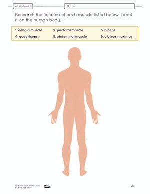 Systems in the Body e-Lesson Plan Grade 5