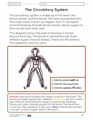 Systems in the Body e-Lesson Plan Grade 5