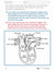 Systems in the Body e-Lesson Plan Grade 5