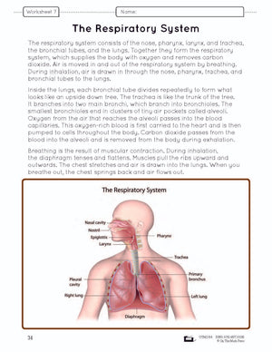 Systems in the Body e-Lesson Plan Grade 5