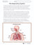 Systems in the Body e-Lesson Plan Grade 5