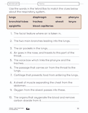 Systems in the Body e-Lesson Plan Grade 5