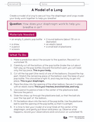 Systems in the Body e-Lesson Plan Grade 5