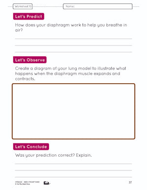 Systems in the Body e-Lesson Plan Grade 5