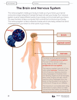 Systems in the Body e-Lesson Plan Grade 5