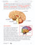 Systems in the Body e-Lesson Plan Grade 5