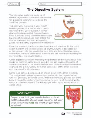 Systems in the Body e-Lesson Plan Grade 5