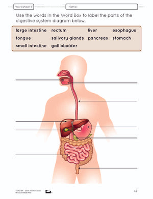 Systems in the Body e-Lesson Plan Grade 5