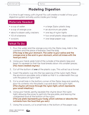 Systems in the Body e-Lesson Plan Grade 5