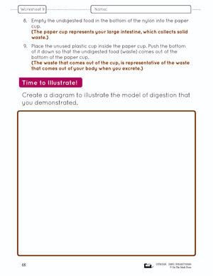 Systems in the Body e-Lesson Plan Grade 5