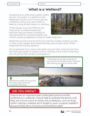 Wetlands e-Lesson Plan Grade 5