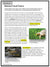 Survival in the Wetlands e-Lesson Plan Grade 5