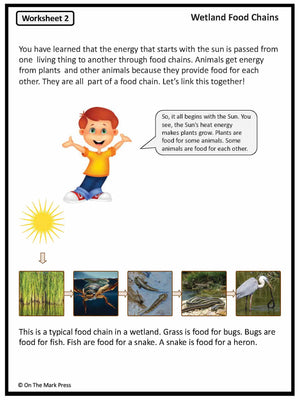 Survival in the Wetlands e-Lesson Plan Grade 5