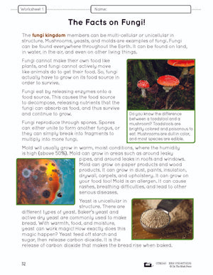 Monera, Protist & Fungi Kingdoms e-Lesson Plan Grade 6