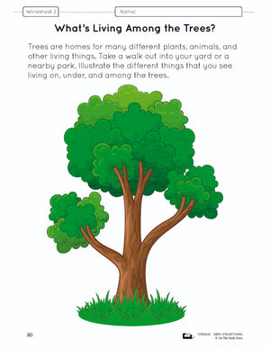 Trees e-Lesson Plan Grade 6