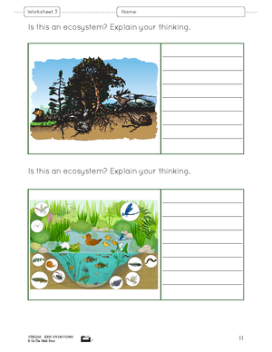 Ecosystems and Biomes Grade 7 Lesson