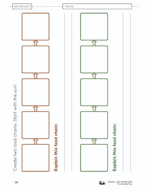 Food Chains & Webs Lesson Plan and Worksheets Grade 7