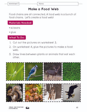 Food Chains & Webs Lesson Plan and Worksheets Grade 7