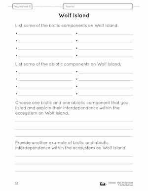 Food Chains & Webs Lesson Plan and Worksheets Grade 7