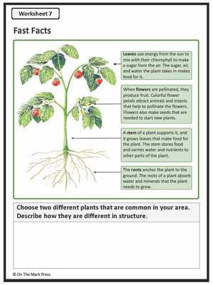 Soils and Plant Growth Grade 7 (eLesson Plan)