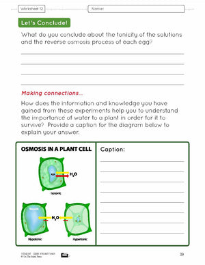 Osmosis & Diffusion e-Lesson Plan Grade 8