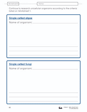 Unicellular Organisms e-Lesson Plan Grade 8