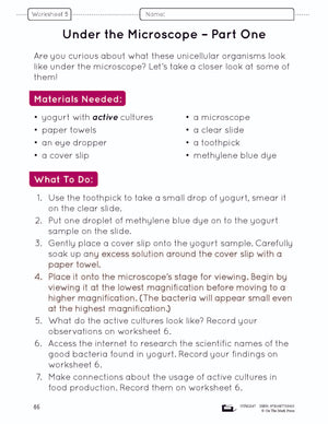 Unicellular Organisms e-Lesson Plan Grade 8