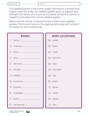 Systems in the Body e-Lesson Plan Grade 8