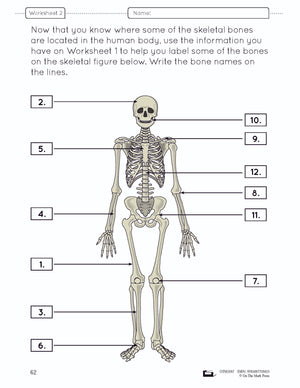 Systems in the Body e-Lesson Plan Grade 8