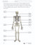 Systems in the Body e-Lesson Plan Grade 8