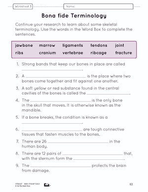 Systems in the Body e-Lesson Plan Grade 8