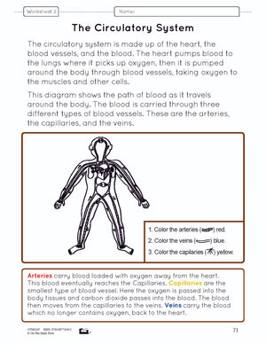 Systems in the Body e-Lesson Plan Grade 8