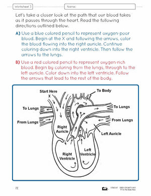 Systems in the Body e-Lesson Plan Grade 8