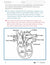 Systems in the Body e-Lesson Plan Grade 8