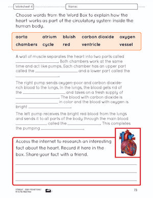 Systems in the Body e-Lesson Plan Grade 8